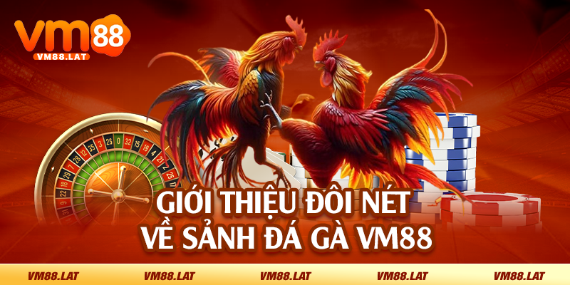 Giới thiệu đôi nét về sảnh đá gà VM88